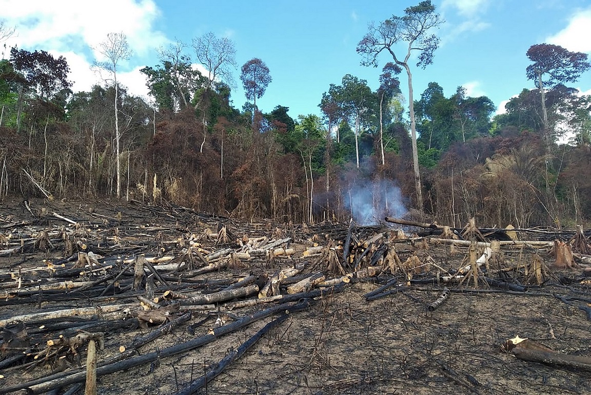 Brazil: Dự án kiểm toán môi trường đạt kết quả vượt trội